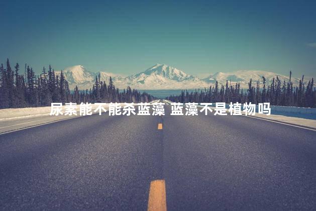 尿素能不能杀蓝藻 蓝藻不是植物吗